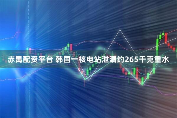 赤禹配资平台 韩国一核电站泄漏约265千克重水