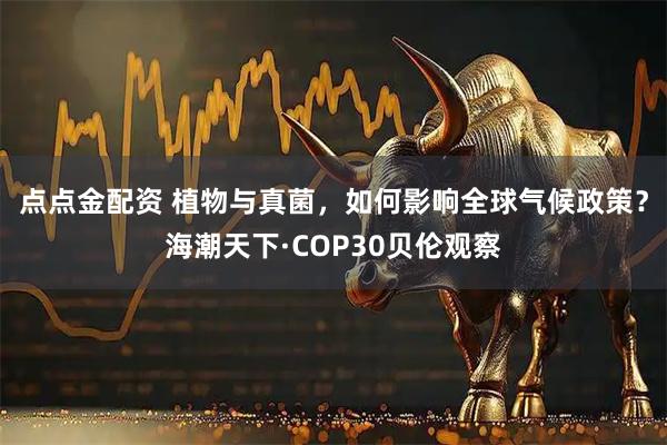 点点金配资 植物与真菌，如何影响全球气候政策？海潮天下·COP30贝伦观察