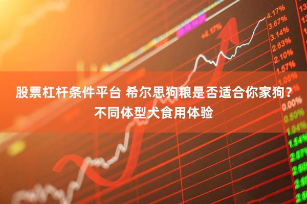 股票杠杆条件平台 希尔思狗粮是否适合你家狗？不同体型犬食用体验